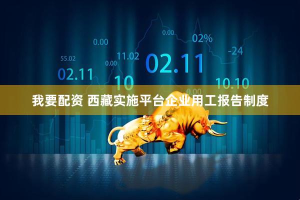 我要配资 西藏实施平台企业用工报告制度